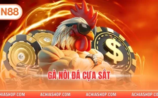 gà nòi đá cựa sắt