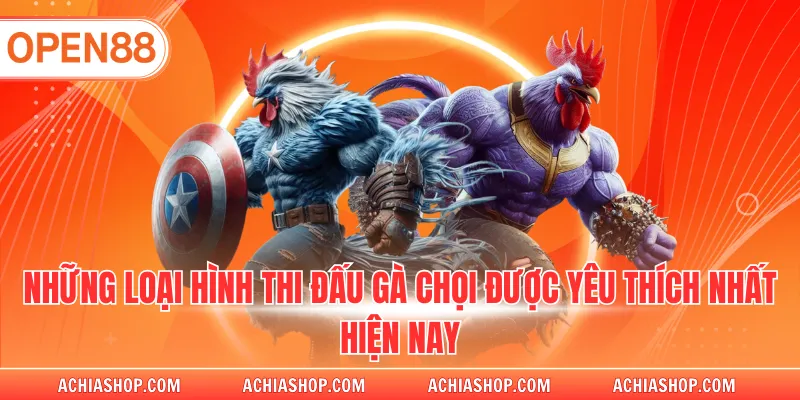 Những loại hình thi đá gà open88 chọi được yêu thích nhất hiện nay 